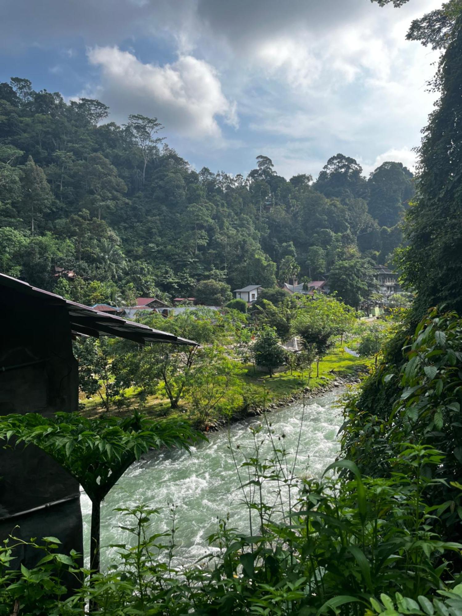 Charlys Little House Hotel Bukit Lawang Kültér fotó