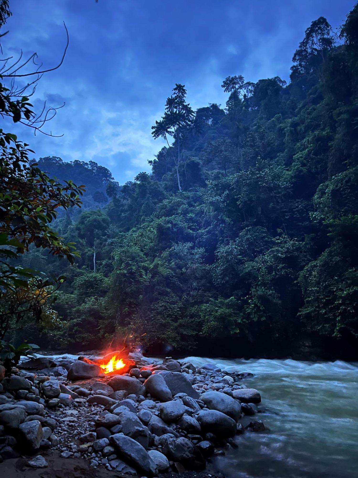 Charlys Little House Hotel Bukit Lawang Kültér fotó